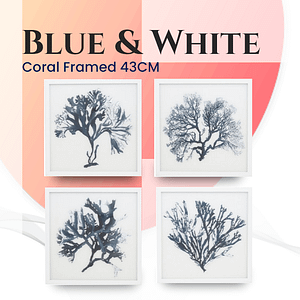 Blue & White Coral Framed 43CM By Best Price Furniture